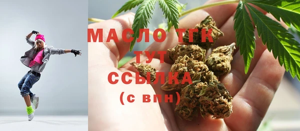 spice Каменка