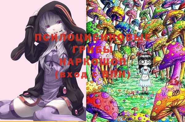 spice Каменка