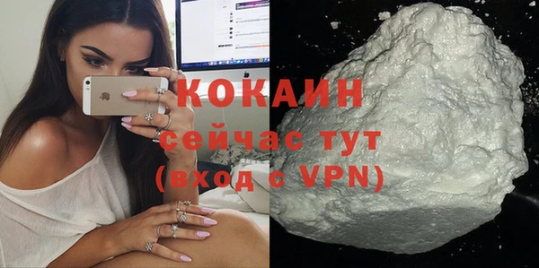 spice Каменка